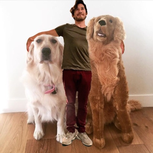 lizziebeth-hd:  Mark wanted us to photoshop Chica with him on Twitter  And now you brought it here…