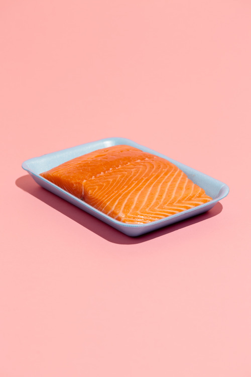 jonathanschoonover:Salmon 2014 Jonathan Schoonover