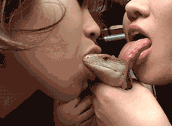 awkwardjapaneseporngifs:  Just keep cool Larry, it may not be the classiest job, but being a porn lizard pays the bills. 