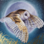 wingchantarts