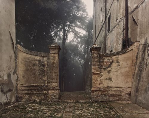 joeinct:Castle, Woods in Mist, Tuscany, Photo by Joel Meyerrowitz, 2002