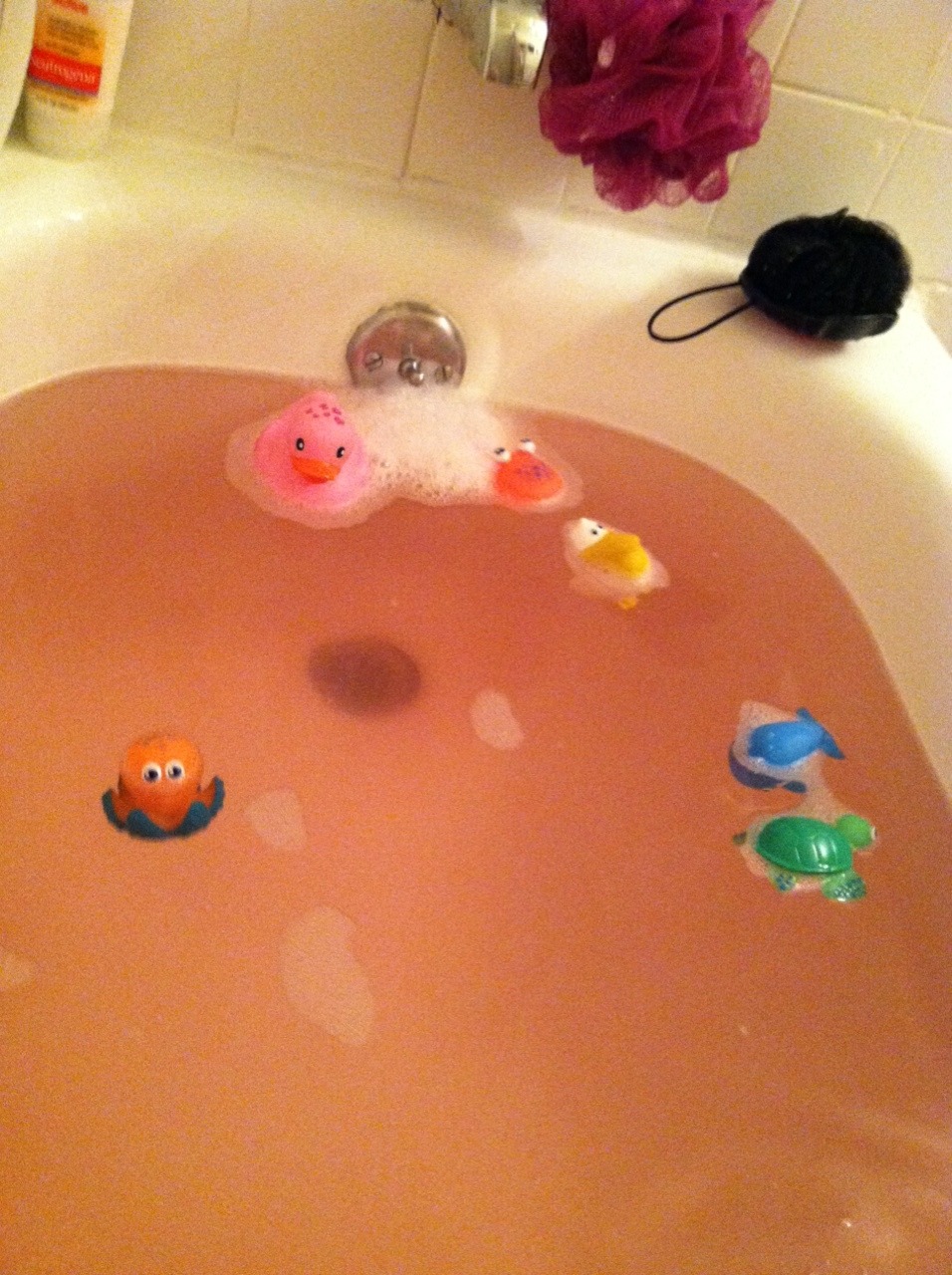 bearbears-little-princess:  Papa bought a bath bomb for me and.. It turned my bath