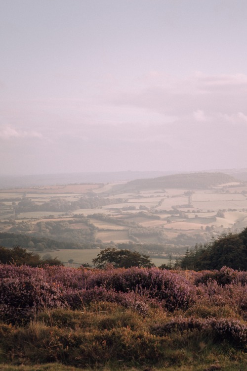 Towards the Brendon Hills, SomersetPhotographed by Freddie Ardley www.freddieardley.com