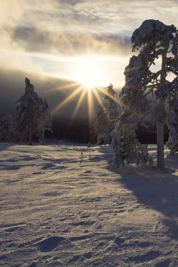 alecsgrg:  Winter in Finland | ( by Tanja Beutler ) 