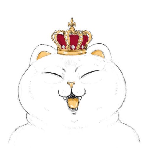 King Chonky! #chonky #drawing #sketch #procreate #catdrawing #chonkyandfriends #king #cat https://ww