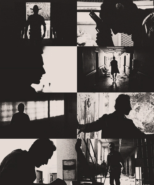 rgrimes-archive:  rick grimes + silhouettes @leeslincoln 