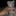thechristmasof1997and2000:homestuck kids as anomalous items:john:rose:dave:jade:jane:roxy:dirk:jake: