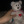 thechristmasof1997and2000:homestuck kids as anomalous items:john:rose:dave:jade:jane:roxy:dirk:jake: