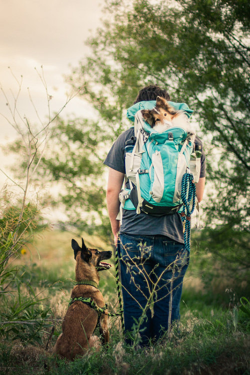 menandtheirdogs:  tempurafriedhappiness: My soul.