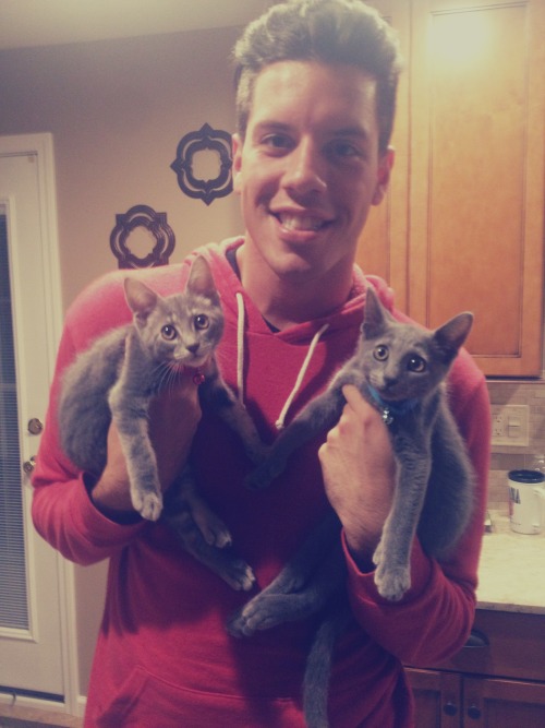 burning-churches:  cats on cats on me  
