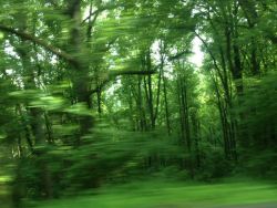 swamp-kei:  driving on the blue ridge parkway