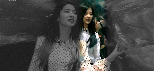 Twice’s leader everyone