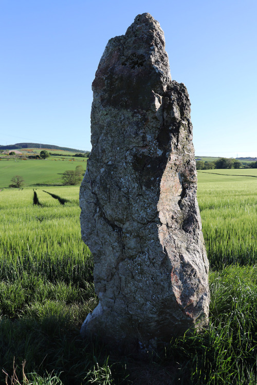 Balquhain Recumbent Stone Circle, Aberdeenshire, 27.5.18.This recumbent stone circle occupies a fant