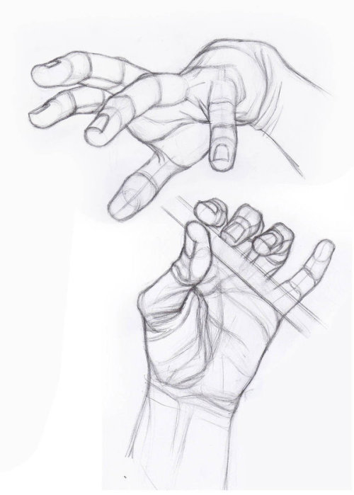 anatoref:  Hand Studies  porn pictures