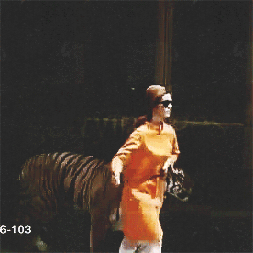 deanms:  60snymphet:  A woman walking down the streets of Los Angeles with her pet tiger, c. 1960s.  My look 