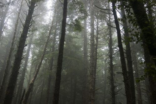 Seaside to Cannon Beach by Christopher Phillips