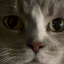 emokitty912