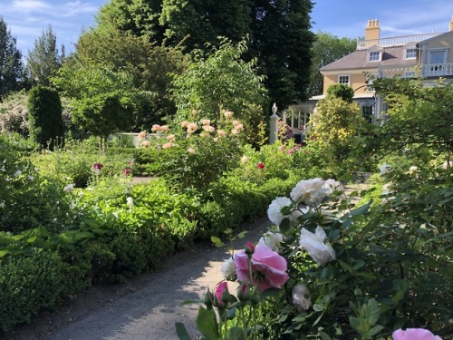 Landscapes of Literature: Henry Wadsworth LongfellowTucked away in a pleasant, residential neighborh