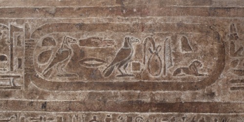 Inscribed cartouche in the Temple of Horus, Edfu, bearing the name of Cleopatra VII (r. 51-30 BCE). 