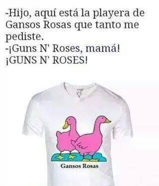 Follamos con Gordas
