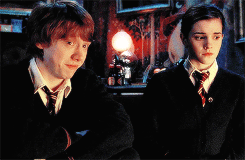noahandquinn:  hp meme | eight quotes [5/8]
