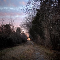 system58:  6 Feb 2015 | path at dusk.