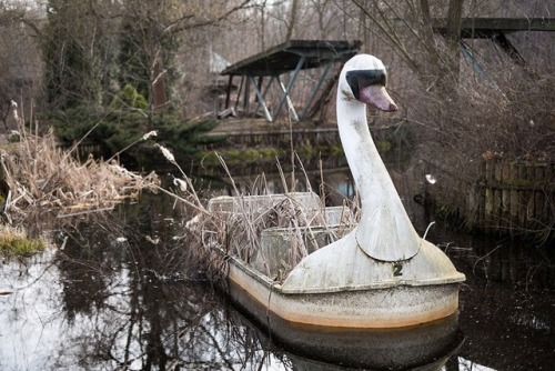 The Swans of Spreepark