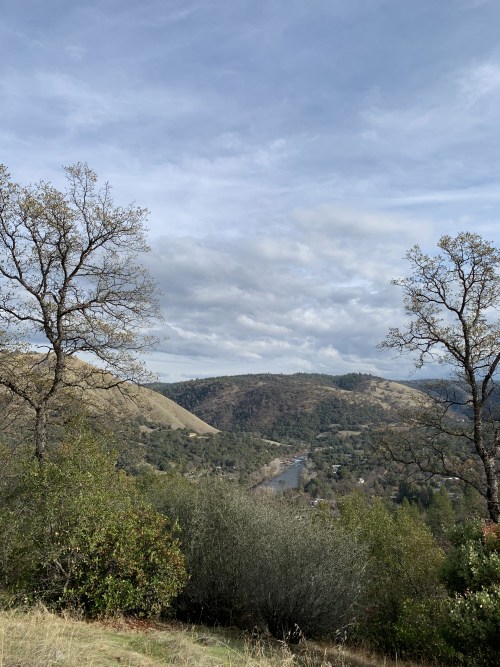 This is what mid winter in Gold Country looks like. Trees are starting to get their leaves back, ber