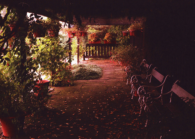 impuni:  untitled. by madhjamaka on Flickr.