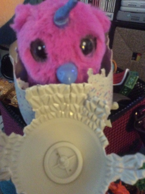 HATCHIMAL…. that ALMOST ruined Christmas!Ok, being dramatic, but I was almost super upset.IF 
