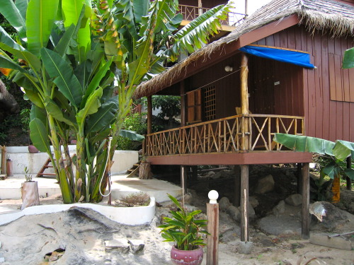 Tropical Blog