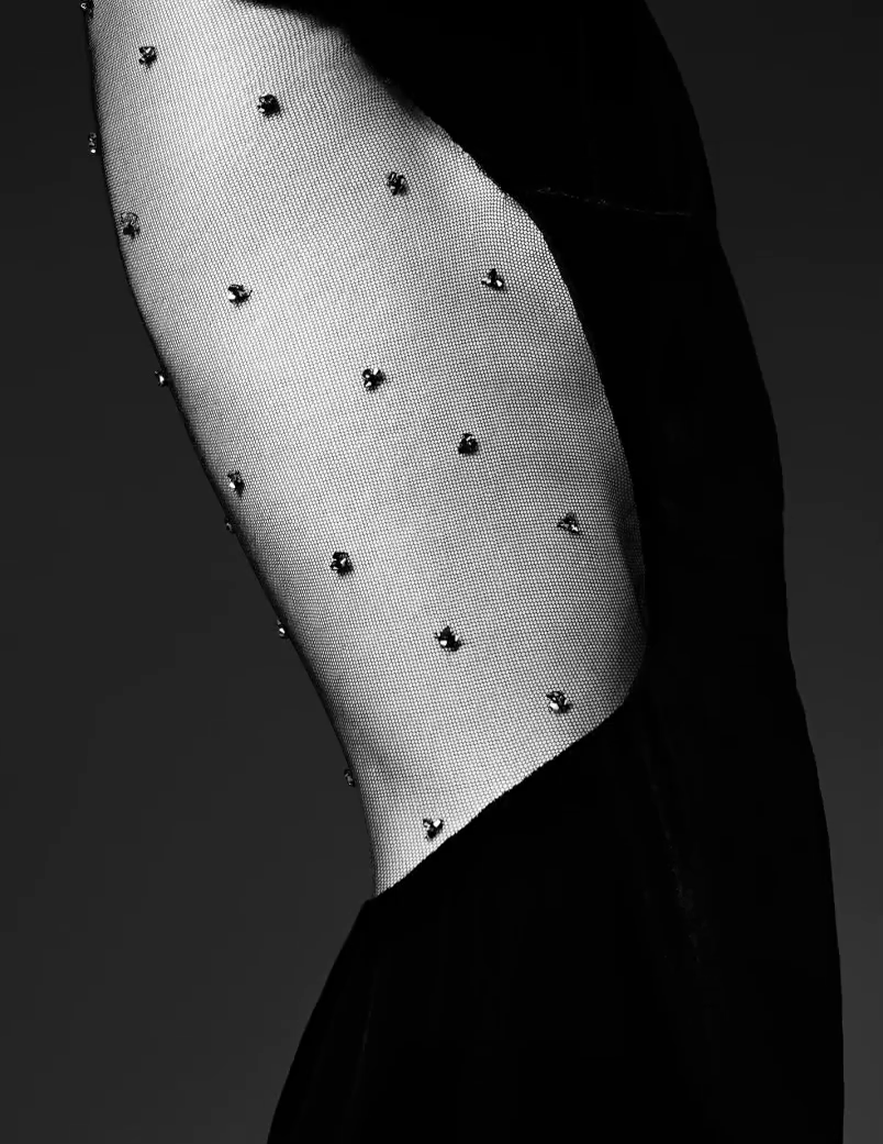 mariah-do-not-care-y:  SAINT LAURENT PERMANENT AND PREFALL CAMPAIGN GRACE H. LOS