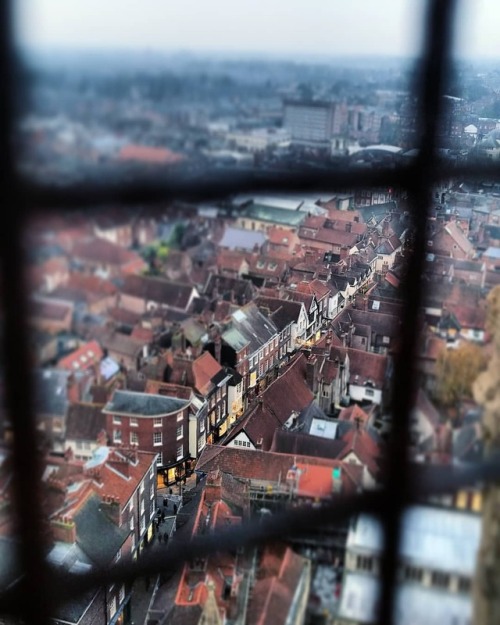 From the top of the Minster