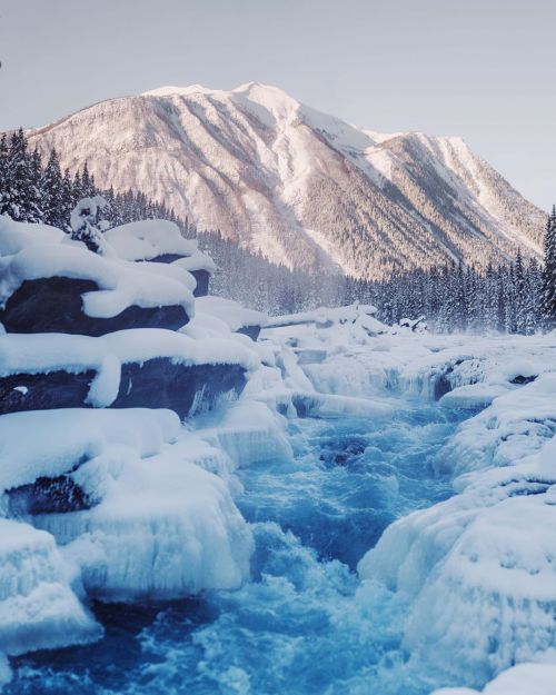 tannerwendellstewart: -40°F morning. Kootenay River. BC. (at British Columbia)www.instag