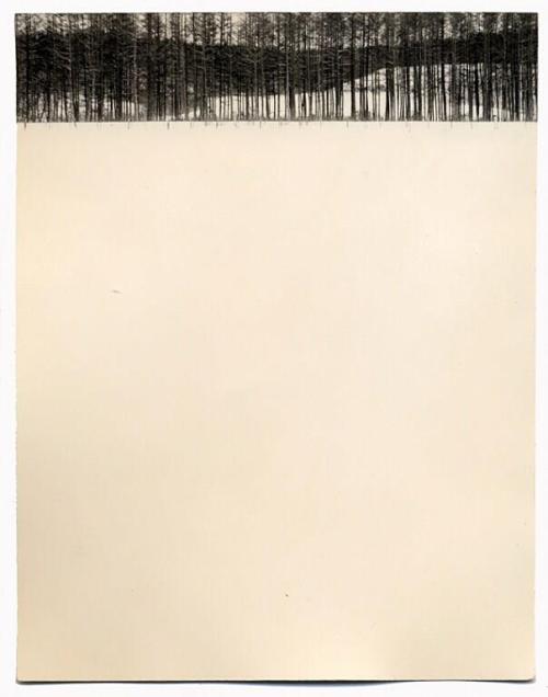 wetreesinart: Masao Yamamoto (山本昌男), photographer.  Japan