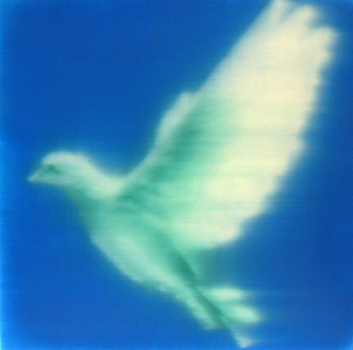 nattonelli:Alison Van Pelt - Green Dove on Blue