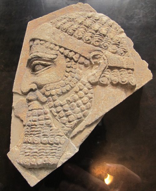 Head of a man, fragment of a relief sculpture from Room N in the palace of the Assyrian king Sargon 