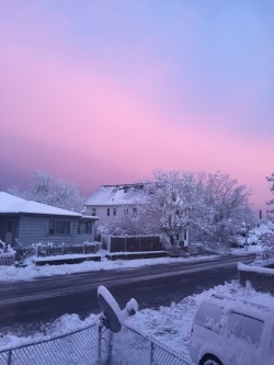 rosegold28:  THE SKY IS PINK 