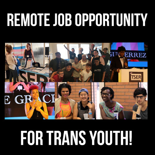 queerplatonicpositivity:transstudent:Please share: Trans Student Educational Resources is hiring a n