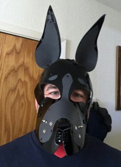 Great Hood!thewellkeptpet:  Pup Parker just got his Great Dane hood! What a big pup!