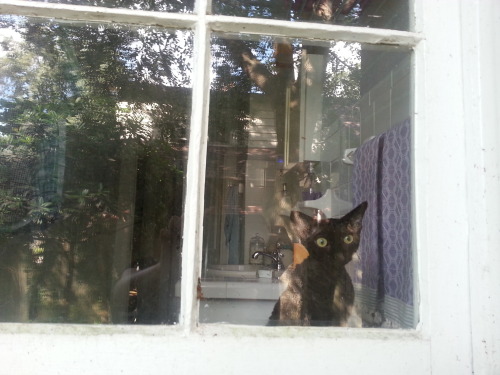 You’re leaving me? But that’s not allowed!