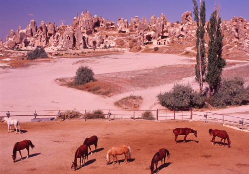 Cappadocia, Turkey (September 2015)Kodak E100VS