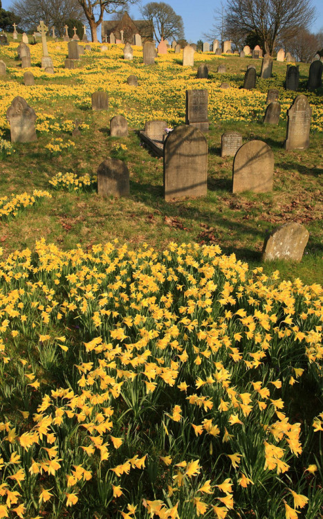 cemeteryimages: Lancaster Moor cemetery, spring 2011 (by reach.richardgibbens)