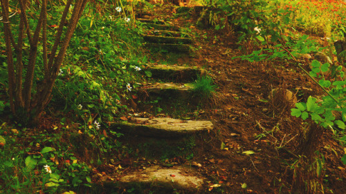 diannaravenwood: Fairy steps ✨