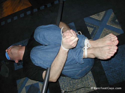 Sex mertbastinado:  Beg more doggy! pictures