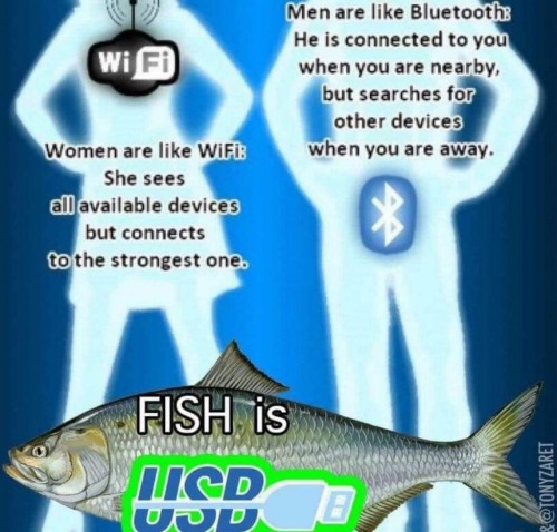 It's Fishposting Tuesday Everyone !!