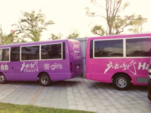 LDH-mania — E-Girls' Musha Shugyo: Happiness VS Flower