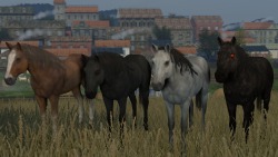 Updated Witcher 3 Roach/HorseUpdated the