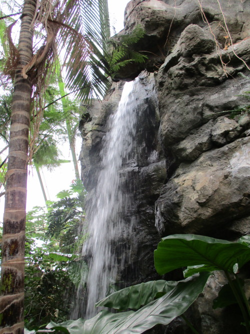 peace-and-awe: waterfall at the rainforest exhibit my original photography- please do not remove cr