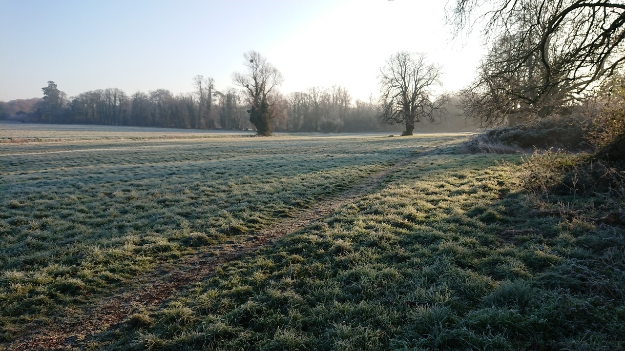 Sun 20 Jan 18: sparkling morning with a serious frost and strong sunshine across Rowley’s Field.